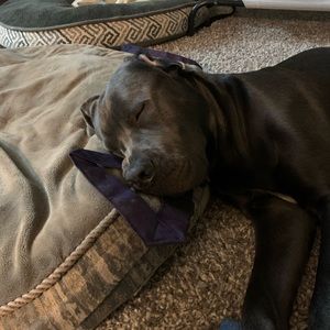 Meet your Posher, Barb